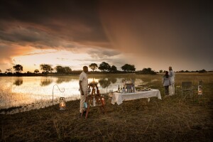Duba Explorers Camp, a perfect safari camp for any Botswana safari, is tucked away in the northeast corner of Botswana’s Duba Plains Concession, a 33,000-hectare private reserve.